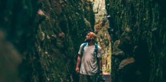 Road to Wild Road To Wild - Centroamérica