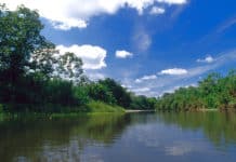 De las Ciguapas a la Mujer Empollerada ¡dos leyendas qué dan mucho miedo! Parque Nacional del Darién - Panamá - Centroamérica