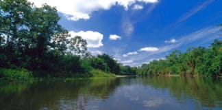 De las Ciguapas a la Mujer Empollerada ¡dos leyendas qué dan mucho miedo! Parque Nacional del Darién - Panamá - Centroamérica