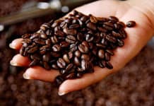 No eres un auténtico foddie si no has probado estos cafés Café en Centroamérica - Centroamérica