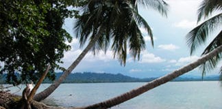De los arrecifes de coral a las rocas volcánicas ¡así es una experiencia única de buceo! Cahuita - Centroamérica