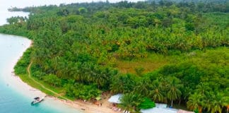 ¡Déjate el abrigo en casa y disfruta del invierno en una playa paradisiaca! Playa La Estrella - Panamá - Centroamérica