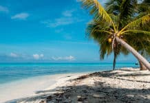 Conoce los súper tips de Belice Tips Belice - Centroamérica