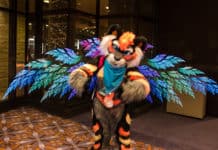 ¿La forma más divertida de aprender español? Practicando estas danzas típicas de Costa Rica y Nicaragua justo en sus lugares de origen Danzas típicas Costa Rica y Nicaragua - Centroamérica