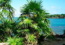 Werden Sie zum Entdecker im Great Blue Hole und an der Miskitoküste – zwei Paradiese für Liebhaber der Wissenschaft Explorador - Gran Agujero Azul - La Mosquitia