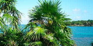 Conviértete en explorador en El Gran Agujero Azul y en La Mosquitia, dos paraísos de los amantes de la ciencia Explorador - Gran Agujero Azul - La Mosquitia - Centroamérica