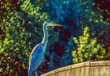 ¿Quién se puede aburrir en un congreso si el entorno es espectacular? Congreso Entorno - Centroamérica