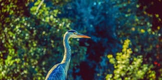 Wer kann sich bei einem Kongress langweilen, wenn die Umgebung spektakulär ist? Congreso Entorno