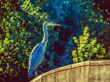 congreso-entorno Congreso Entorno