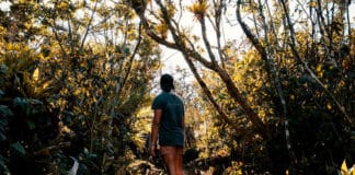 We travel the world We travel the World