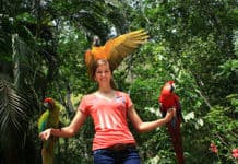¿Vacaciones sostenibles y en paz con la naturaleza? ¡Sí, gracias! Observación aves - Centroamérica