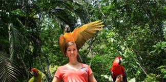 ¿Vacaciones sostenibles y en paz con la naturaleza? ¡Sí, gracias! Observación aves - Centroamérica