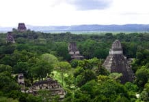 Und weiter geht‘s! Maya-Städte, die Sie überraschen werden Tikal - Guatemala - Centroamérica