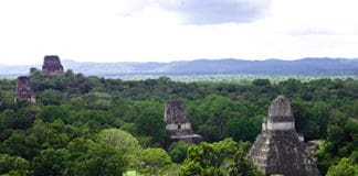 ¡Suma y sigue! Ciudades mayas que te van a sorprender Tikal - Guatemala - Centroamérica