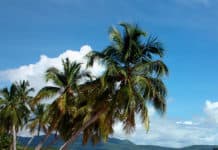 Centroamérica es elegida por su belleza para ser escenario cinematográfico Galeras - Centroamérica