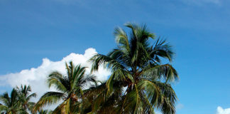 Centroamérica es elegida por su belleza para ser escenario cinematográfico Galeras - Centroamérica