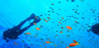 3 important advantages of travelling to Central America at this time Roatán - Honduras - Viajar - Seguridad - Centroamérica