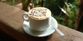 Centroamérica: Un viaje por los países productores de los mejores cafés del mundo