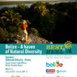 Best of the Best – BE – EN