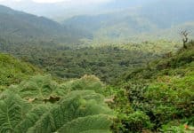 Trois endroits en Amérique centrale pour voyager en famille Centroamérica - viajar en familia