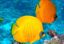 Turismo activo en Centroamérica para vivir emociones fuertes Turismo activo - Centroamérica