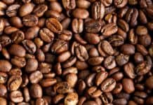 Cultura, aventura y sostenibilidad alrededor del café de especialidad panameño