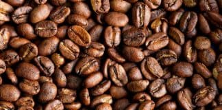 Cultura, aventura y sostenibilidad alrededor del café de especialidad panameño