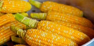 Centroamérica, una suculenta fusión de la cocina indígena, africana y española Centroamérica - cocina - gastronomía