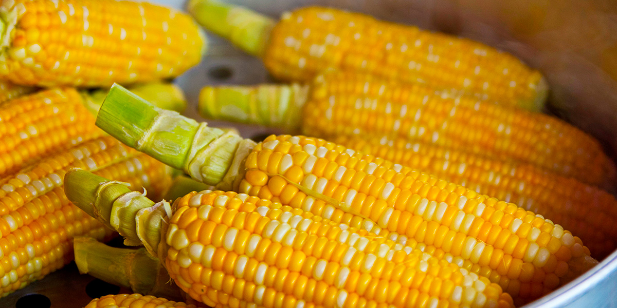 Centroamérica - cocina - gastronomía