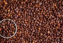 Conoce Centroamérica a través de sus rutas de café