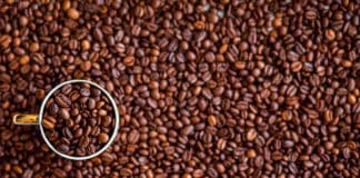 Discover Central America through its coffee routes