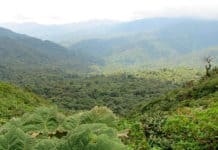 Des enclaves d’Amérique centrale et de République dominicaine pour des expériences inoubliables