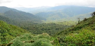 Des enclaves d’Amérique centrale et de République dominicaine pour des expériences inoubliables