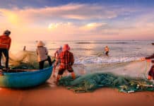 Gastronomía sostenible en República Dominicana y Centroamérica Gastronomía sostenible