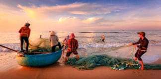 Gastronomía sostenible en República Dominicana y Centroamérica Gastronomía sostenible