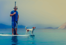 Paddle surfing in Central America: 5 unique destinations oaddle surf en Centroamérica