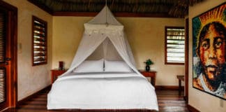 Four belizean resorts dominate this year’s travel + leisure awards in the central america category Best Resorts Gaïa Riverlodge, Mountain Pine Ridge Forest Reserve, Belize