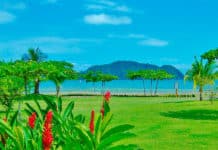 L’Amérique centrale et les nomades numériques : une destination sûre et de qualité Centroamérica-y-los-nómadas-digitales-destino-seguro-y-de-calidad