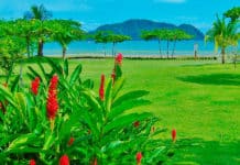 Extranjeros viviendo en Centroamérica: experiencias, negocios y un nuevo hogar para muchos