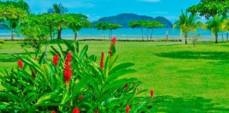 Extranjeros viviendo en Centroamérica: experiencias, negocios y un nuevo hogar para muchos