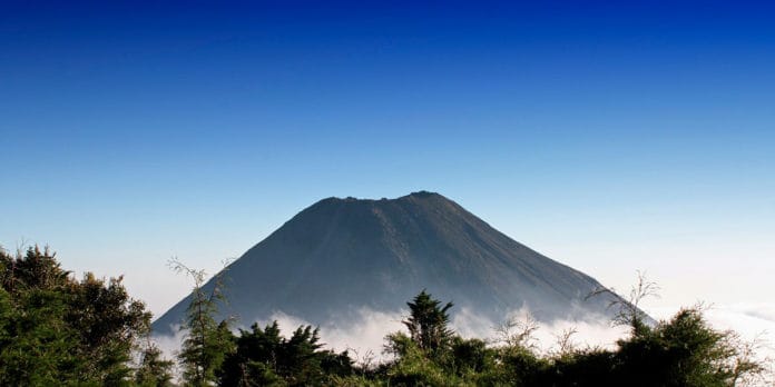 medioambiente-y-la-sostenibilidad-económica medioambiente y la sostenibilidad económica