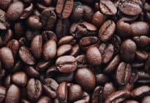 ¿Por qué deberías hacer la ruta de los cafetales en Centroamérica? Ruta del café