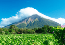 Experiencias que solo se viven una vez en la vida: reservas naturales de Centroamérica reservas naturales en centroamerica