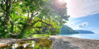 Costa Rica Participa en FITUR 2022 Costa Rica Fitur