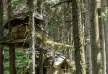 Una casa en un árbol para relajarse: encuéntrala en Centroamérica
