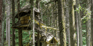 Una casa en un árbol para relajarse: encuéntrala en Centroamérica