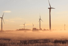 Datos sobre medioambiente en Centroamérica Datos sobre medioambiente en Centroamérica