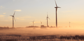 Datos sobre medioambiente en Centroamérica Datos sobre medioambiente en Centroamérica