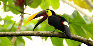 Beneficios de trabajar rodeado de plena naturaleza Beneficios de trabajar rodeado de plena naturaleza