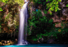 Descubre las selvas centroamericanas más imponentes y disfruta de la pasión por la naturaleza en estado puro Selvas centroamericanas pasión por la naturaleza